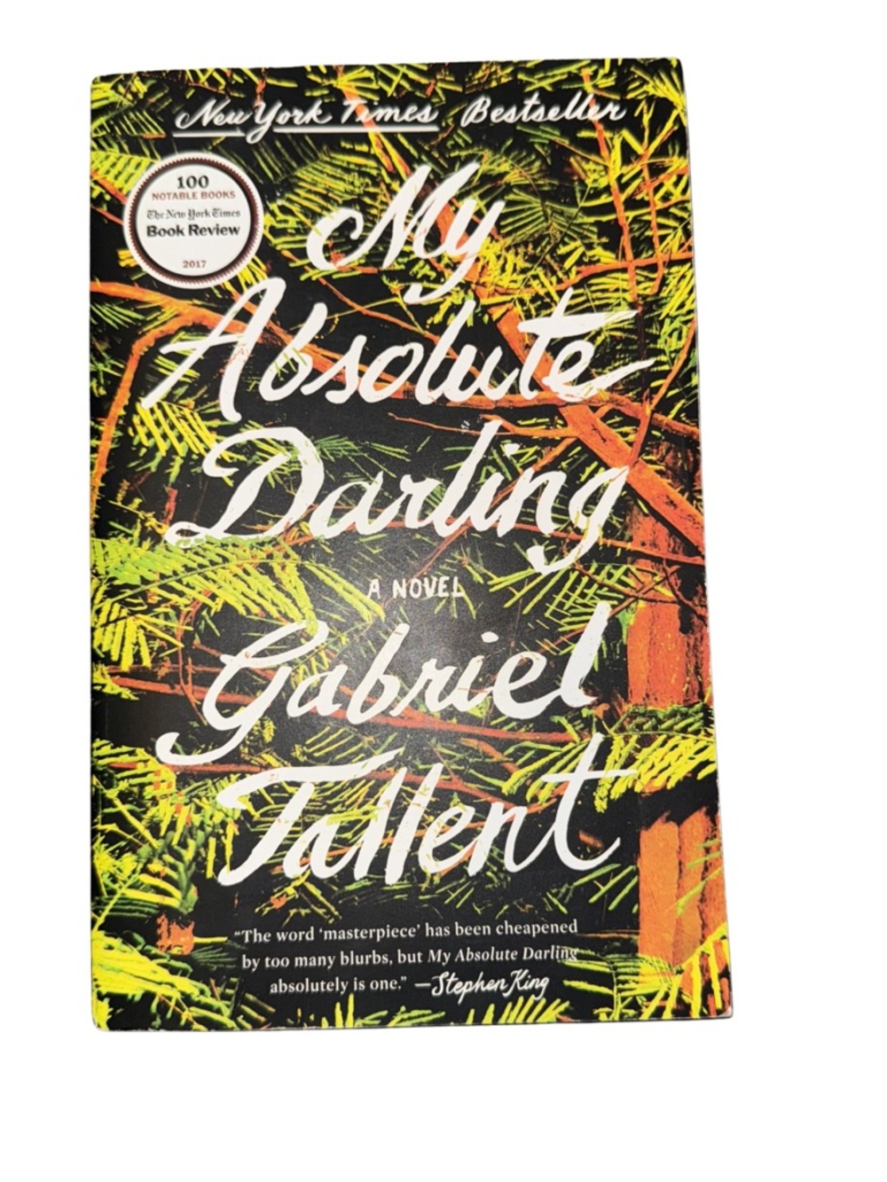 My Absolute Darling by Gabriel Tallent Paperback Literary Fiction